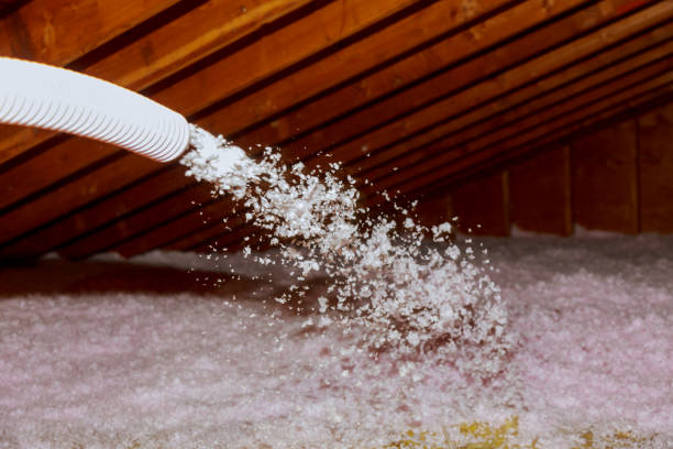 Best Commercial Insulation in Walkertown, NC