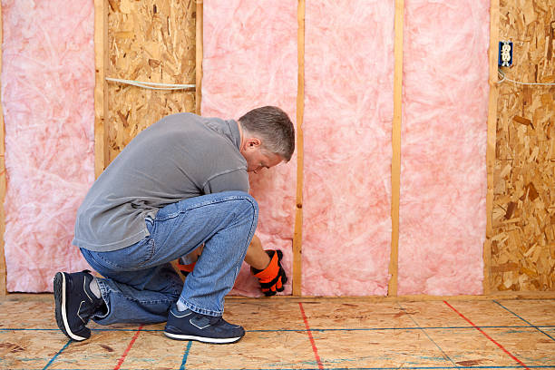 Best Commercial Insulation in Walkertown, NC