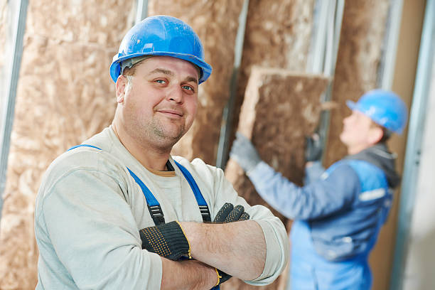 Best Residential Insulation in Walkertown, NC
